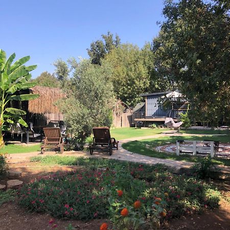 Tiny House Kayakoey Kumquat Kayakoy Exterior foto